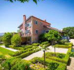 Talits Vineyard Estate