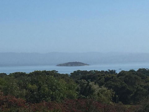 Tidal Dreaming Seaview Cottages - New South Wales Tourism  4