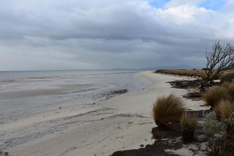 Tidal Dreaming Seaview Cottages - New South Wales Tourism  6