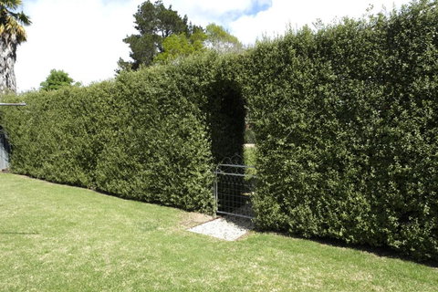 Belford House - New South Wales Tourism  1