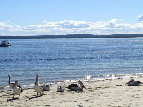 23 Bay Parklands 2 Gowrie Avenue Little Beach Air Con Pool & Tennis Court - New South Wales Tourism  2