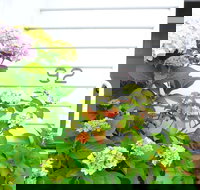 White House - New South Wales Tourism 