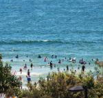 Pacific Towers Unit 4 19 Ormonde Tce Kings Beach - New South Wales Tourism 