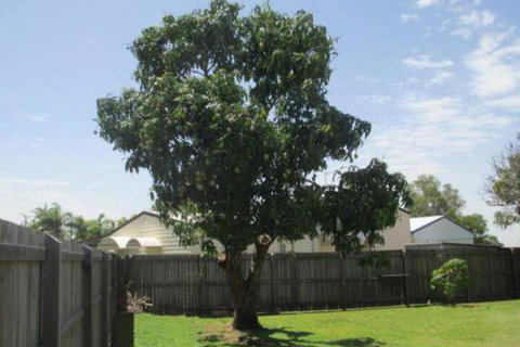 Fishermans Cottage Hervey Bay - New South Wales Tourism  2