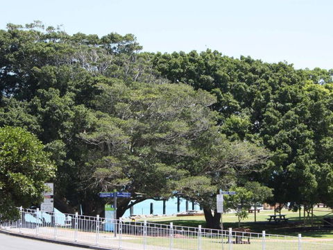 The Reef 103 Lakeside! - New South Wales Tourism  6