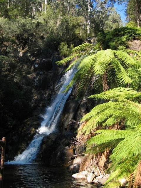 RiverCottage Selfcontained - New South Wales Tourism  2