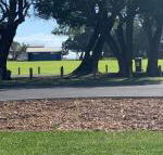 Yaringa cottage...by the sea