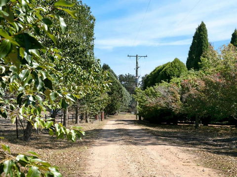 Warrington Park Bendooley Hill - New South Wales Tourism  5