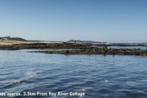 Ray River Cottage - New South Wales Tourism  3