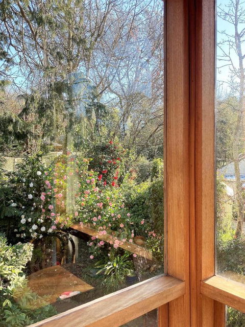 Adelaide Hills Camellia Cottage WiFi - New South Wales Tourism  6