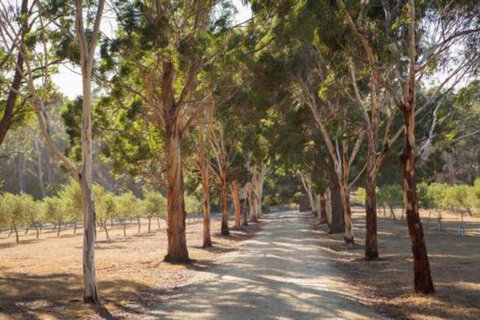 East Wing - New South Wales Tourism  7