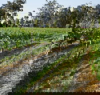 Renovated Cottage Aberdare Hunter Valley - New South Wales Tourism 