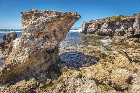 Hanson Bay Wildlife Sanctuary And Cabins - New South Wales Tourism  2