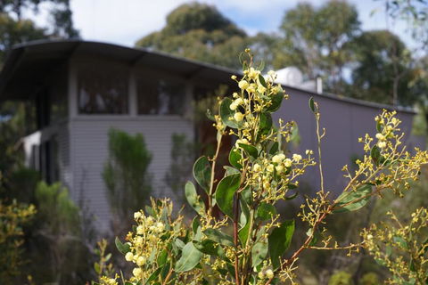Ridgetop Retreats Deep Creek Conservation Park - New South Wales Tourism  2