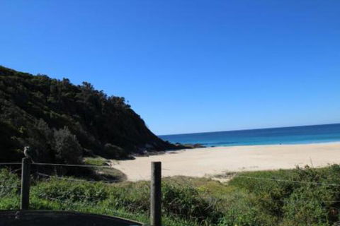 Mimosa - New South Wales Tourism  0