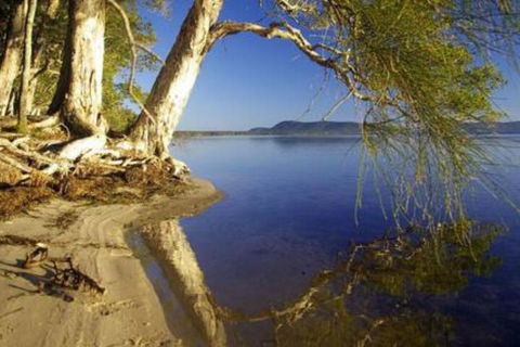 Mimosa - New South Wales Tourism  1