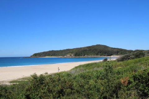 Mimosa - New South Wales Tourism  4