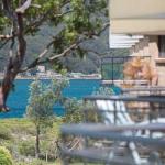 11 Shoreline 1 Intrepid Close Cosy Unit Within Walking Distance To The Water - New South Wales Tourism  0