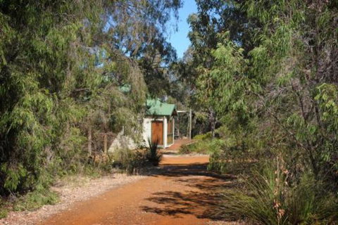 Bush N Waves - New South Wales Tourism  2