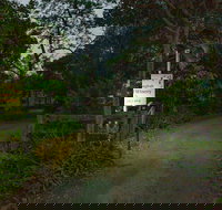 Brisbane North BB and Winery - New South Wales Tourism 