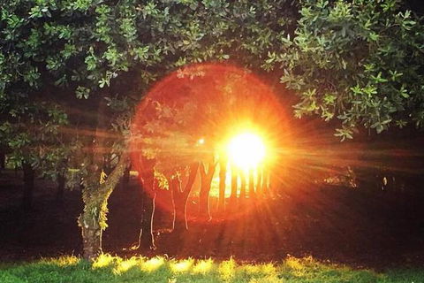 Glamping Byron Bay - New South Wales Tourism  7