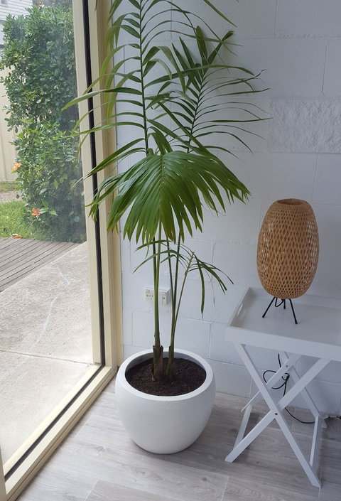 Beach Holiday Apartments Motel - New South Wales Tourism  5