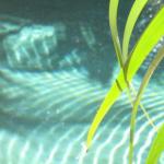 Bli Bli QLD New South Wales Tourism 