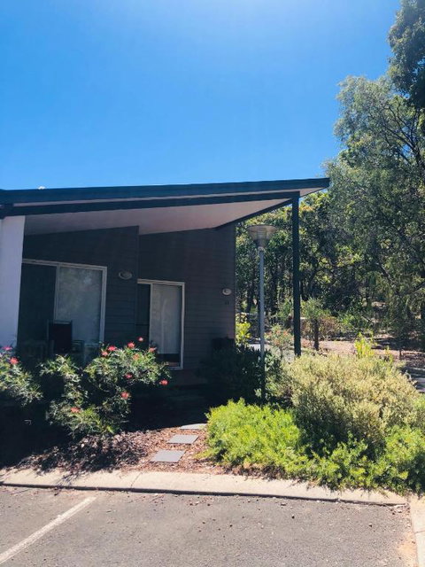 On The Edge Of The Forest - New South Wales Tourism  1