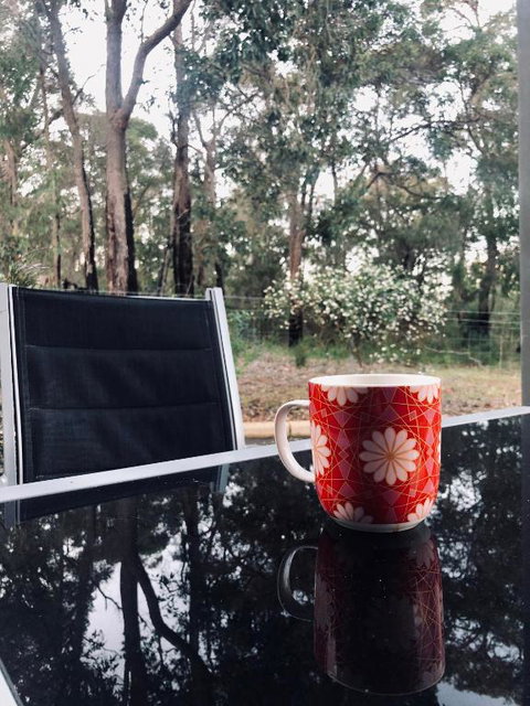 On The Edge Of The Forest - New South Wales Tourism  6