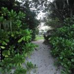 Balinese Beachfront Villa - New South Wales Tourism  0