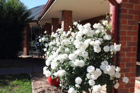 Gundaroo Manor Bed & Breakfast - New South Wales Tourism  1