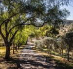 Capers Guesthouse Barn  Cottage