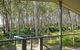 Mystery Bay Retreat - thumb 6