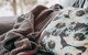 Getaway Bruny Island - thumb 1