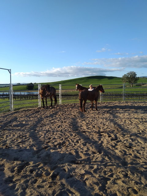 Altitude221 - New South Wales Tourism  2