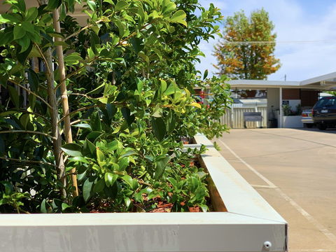 Baths Motel - New South Wales Tourism  0