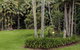 Mt Tamborine Stonehaven Guest House - thumb 7