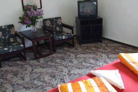 Blackboy Tree Motel - New South Wales Tourism  6