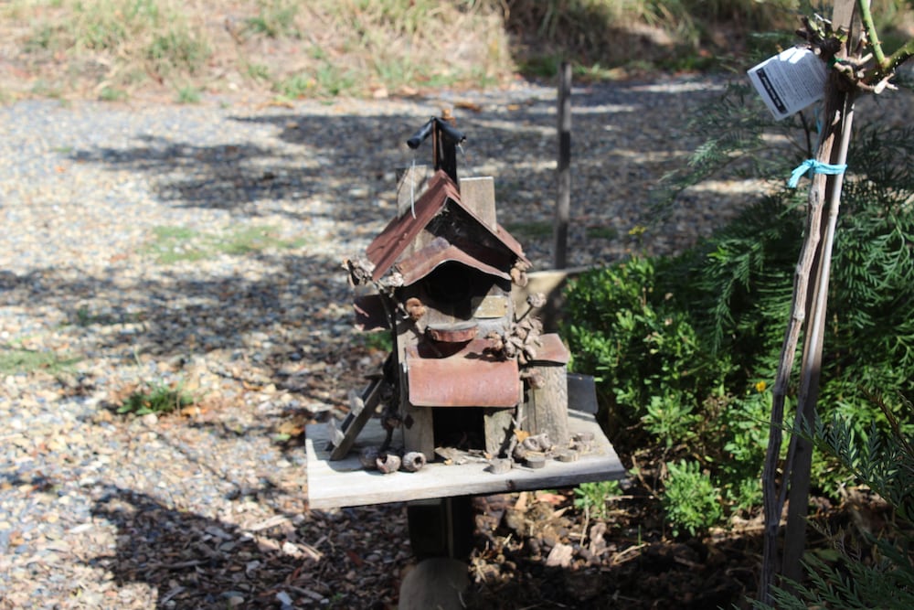 Wonga Park VIC New South Wales Tourism