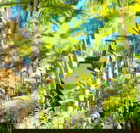 Blue Waters Apartments - New South Wales Tourism 