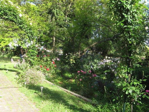Westella Colonial B&B - New South Wales Tourism  6