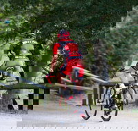 NRMA Bright Holiday Park - New South Wales Tourism 