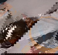 City Heart Motel - New South Wales Tourism 