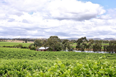 Stonewell Cottages & Vineyards - New South Wales Tourism  6
