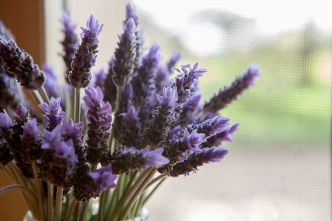 Stonewell Cottages & Vineyards - New South Wales Tourism  3