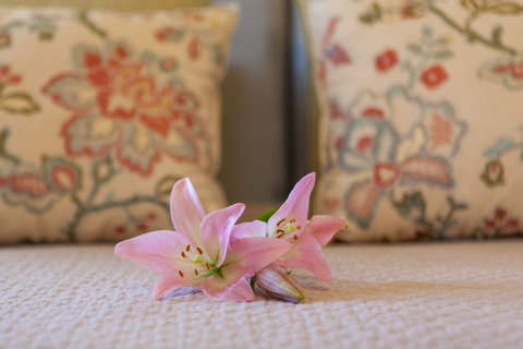 Stonewell Cottages & Vineyards - New South Wales Tourism  2