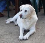 Nazaaray Beach House - New South Wales Tourism 