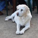 Nazaaray Beach House - New South Wales Tourism  0