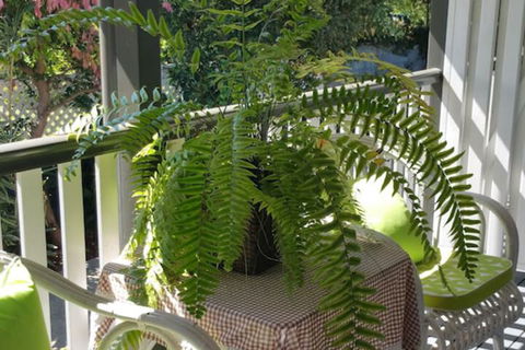 Elindale House Bed & Breakfast - New South Wales Tourism  4