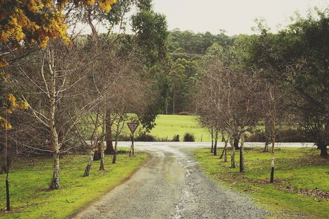 Oyster Cove Chalet - New South Wales Tourism  4